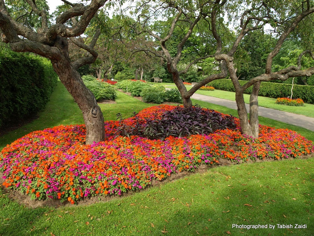 flower bed landscaping ideas
