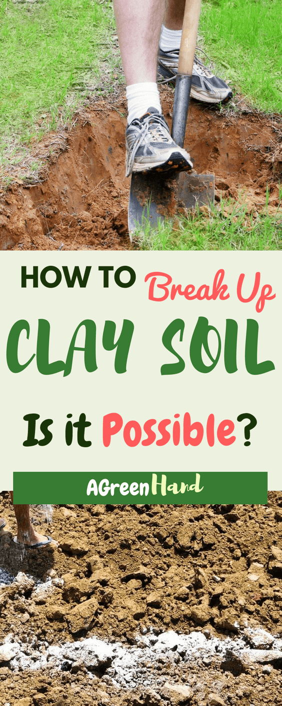 Once you know how to break up clay soil, you can plant almost any crop that you want to have in your garden. And with all the advantages that come with clay soil, you can always be confident of having some healthy and fast growing plants.