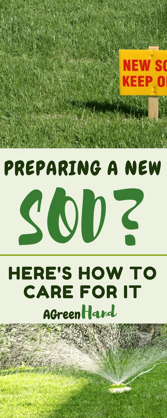 How To Care For New Sod A Green Hand