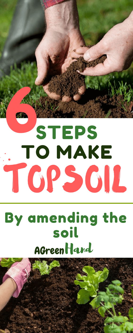 In this article, you will know how to make topsoil. It is also important to find ways of preserving the topsoil, and some of the best ones include planting trees and cover crops. Also, crop rotation can be helpful, but you will still need to analyze the soil every other season or year and amend the topsoil if necessary. #soilcare #gardeningtips #agreenhand