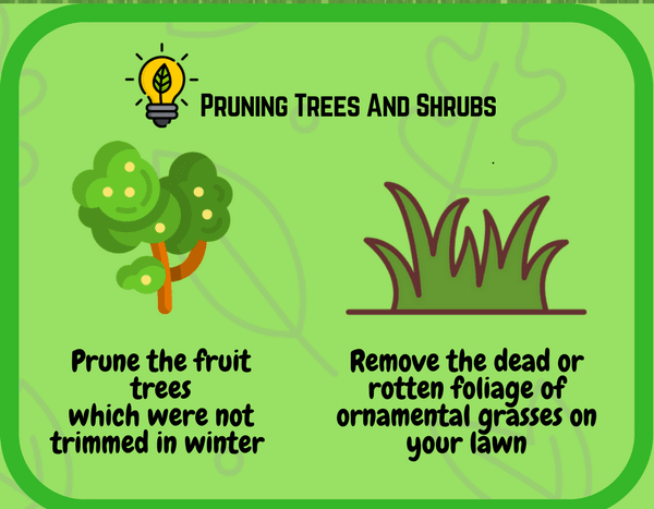Pruning Trees and Shrubs