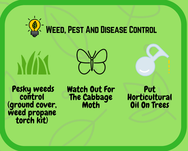 Spring Garden: Weed, Pest and Disease control