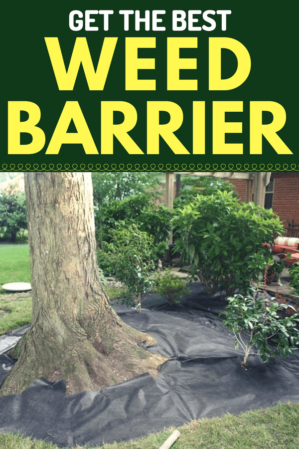 Installing a weed barrier can help you control weeds from getting to your garden. There are various types of weed barriers you can choose from.