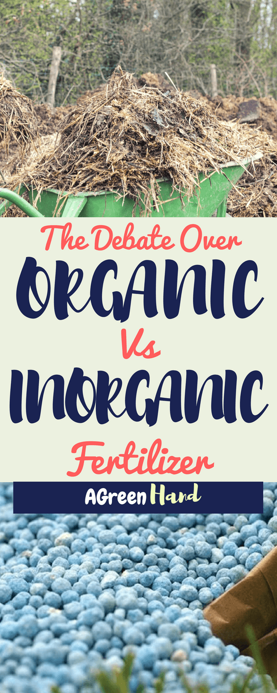 Plants get most of their nutrients from the soil. Fertilizers provide the soil with large amounts of macronutrients to supplement what it already has. The question is should we use organic or inorganic fertilizer. Which is the most beneficial for plants?