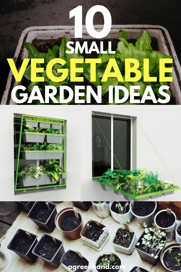 There are certainly many ways to maximize your space for growing vegetables. Whether you utilize windowsill gardening or vertical gardening, we hope that this inspired you to start your own vegetable garden.