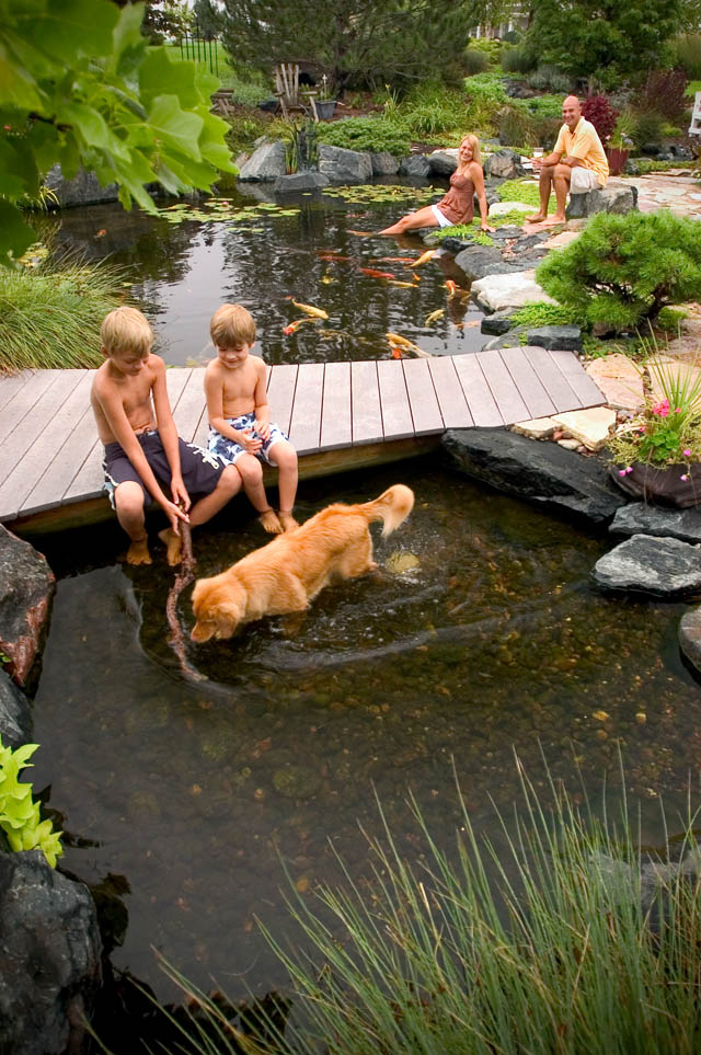 Backyard Pond and Water Ideas