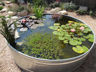 Backyard Pond And Water Ideas