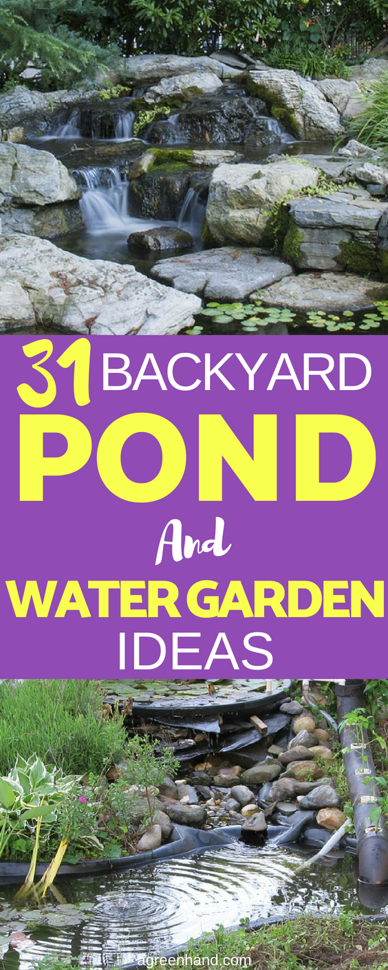 Backyard Pond And Water Garden Ideas