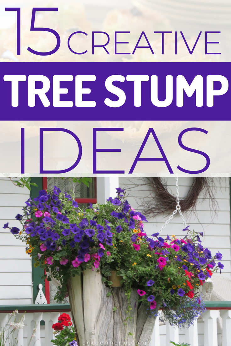 Tree Stump Ideas