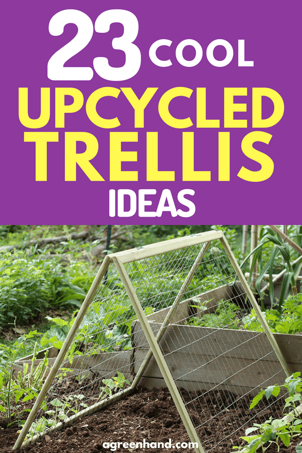 Checkout these 23 Cool Up-Cycled Trellis Garden Ideas #gardeningideas #agreenhand