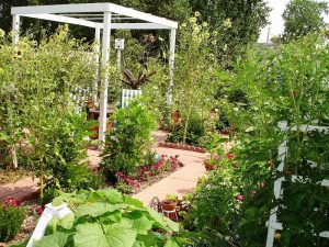Benefits-of-Gardening