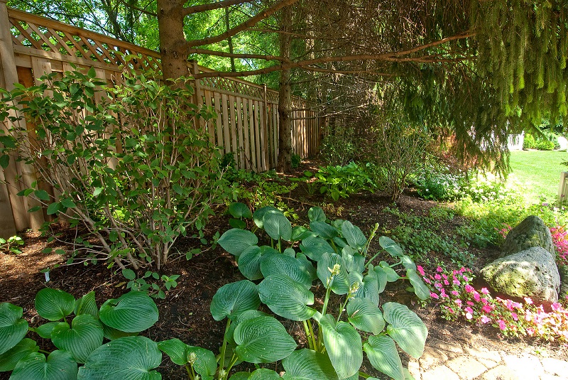Shaded Garden Bed
