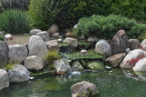 Water Features For Garden