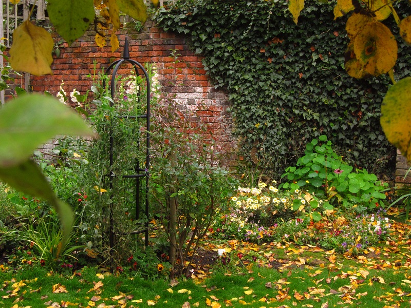 Autumn Cleanup in the Wildlife Garden