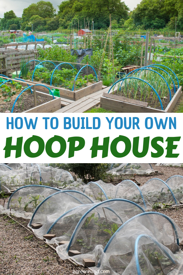 Hoop houses are great when you want to grow plants even during winter. You can add a covering inside the hoops to provide extra protection from the cold weather. Let’s find out how to build it in your own now! #hoophouse #agreenhand #wintergarden