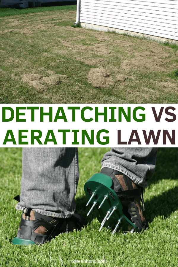 dethatching vs aerating lawn