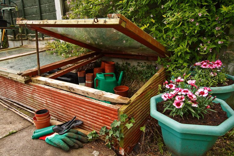 Benefits Of Having Mini Cold Frames For Your Backyard Plants AGreenHand