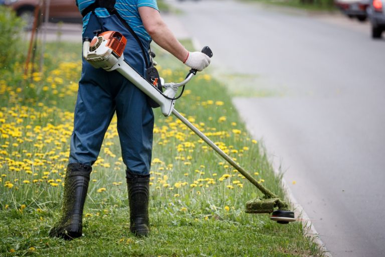 What Are The Benefits Of Using A Weed Trimmer For Your Lawn? AGreenHand