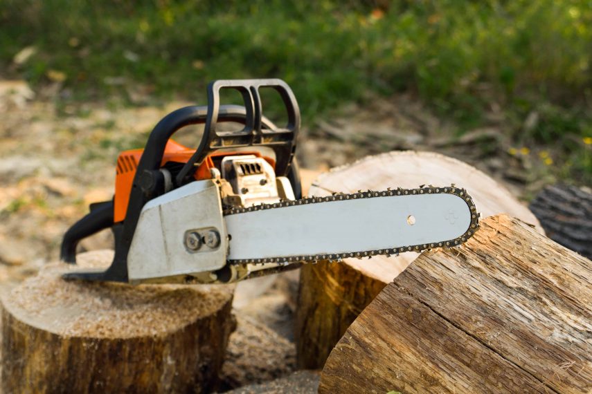 7 Common Problems With Chainsaws And How To Resolve Them AGreenHand