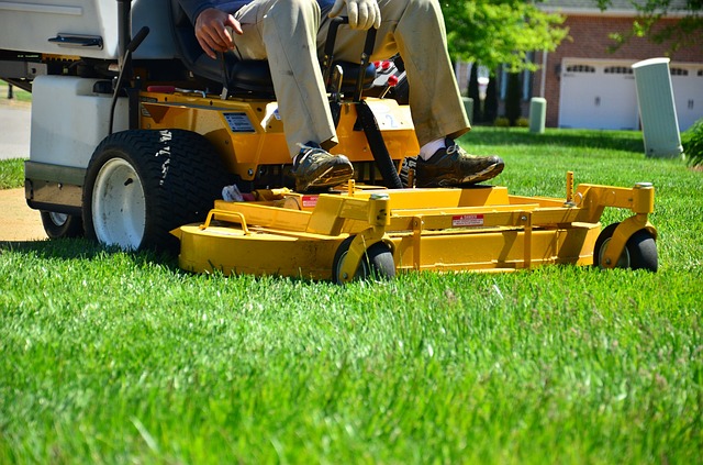 Maintain Hydroseeding Lawn