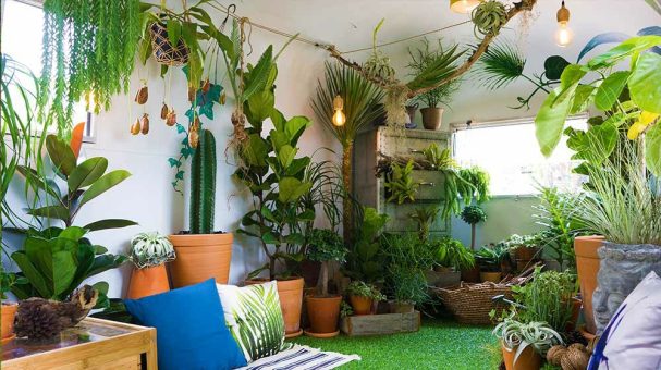 38 Different Types of Gardens For Indoors and Outdoors - AGreenHand