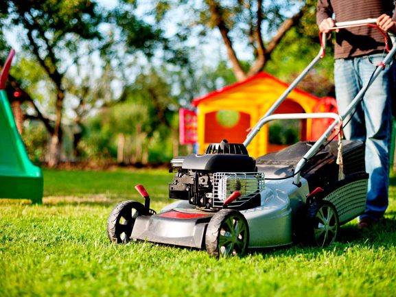 Lawn Care Maintain Lawn in Spring