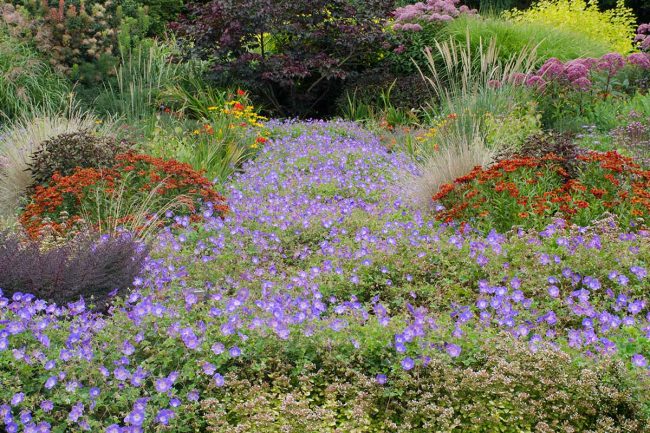 Mass Planting