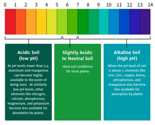 How to Lower pH in Soil