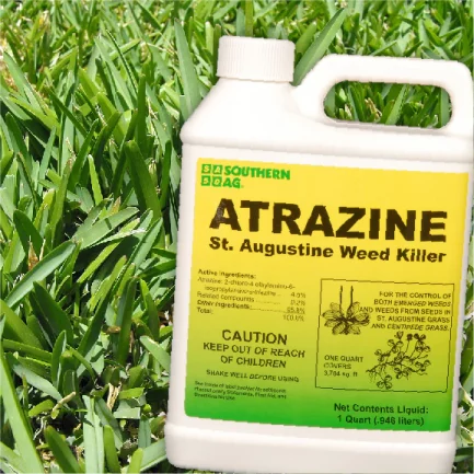Atrazine for Bermuda Grass