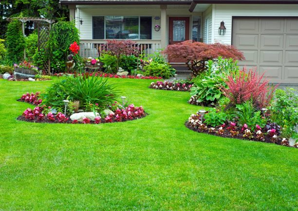 What Are The Environmental Benefits Of Green Landscaping