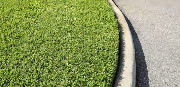 How to Fertilize Centipedegrass