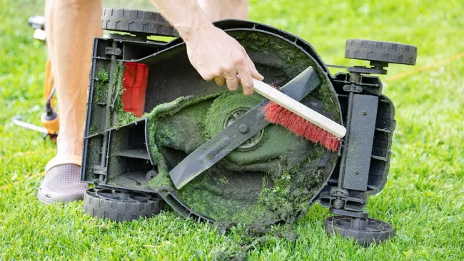 Can You Mow Wet Grass