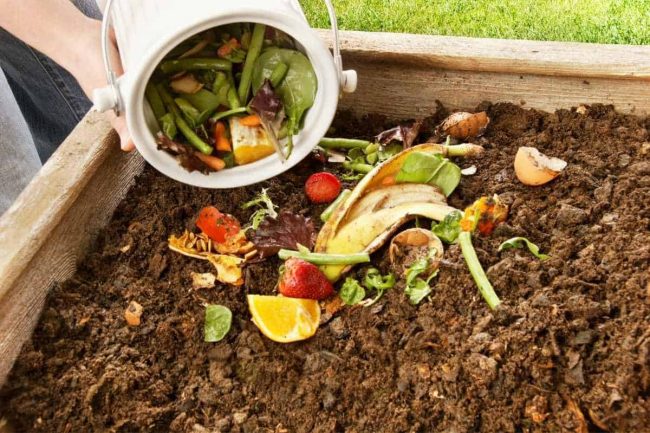 Beginner’s Guide to Composting