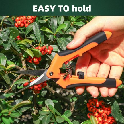 Pruning Shears