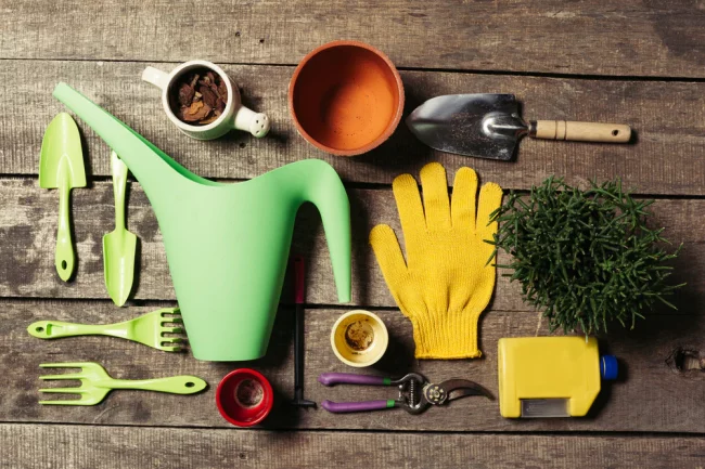 The Best Tools Every New Gardener Needs
